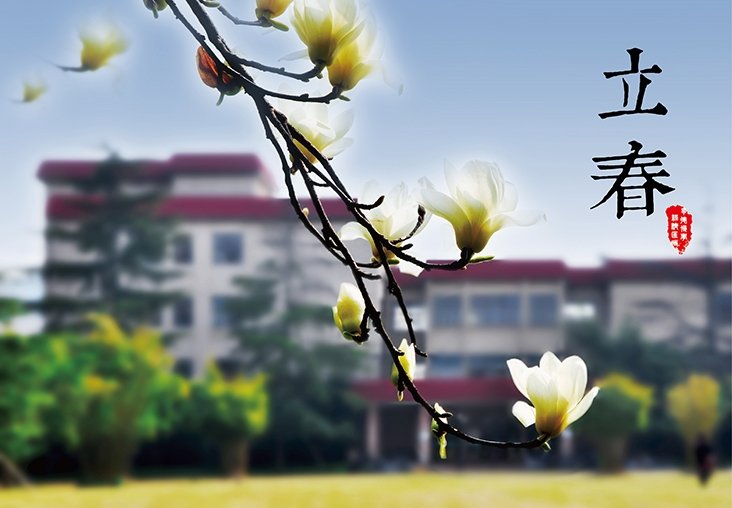 news@sufe.edu.cn